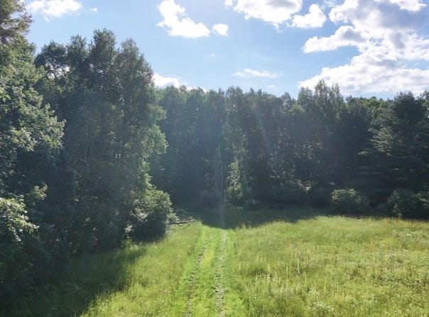 V/L Woods Road, Sidney, MI 48885