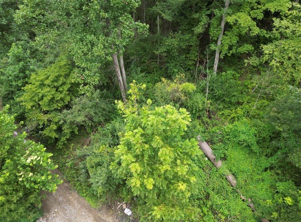 1531 Easter Hollow Road, Ridgeview, WV 25169
