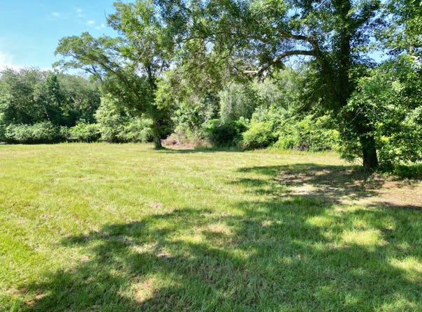 COUNTY ROAD 3338, Brundidge, AL 36010