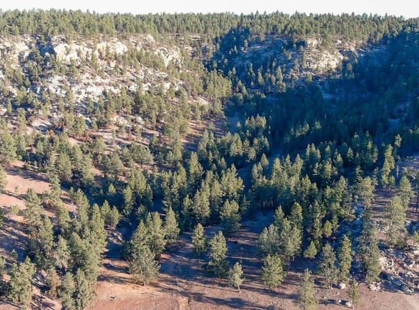 51 Buckskin Road, Roundup, MT 59072
