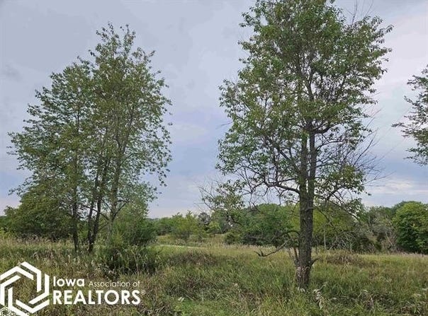 1751 Iris Avenue, Fairfield, IA 52556