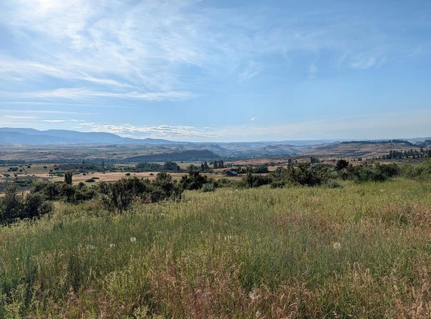 Hwy 95, Council, ID 83612