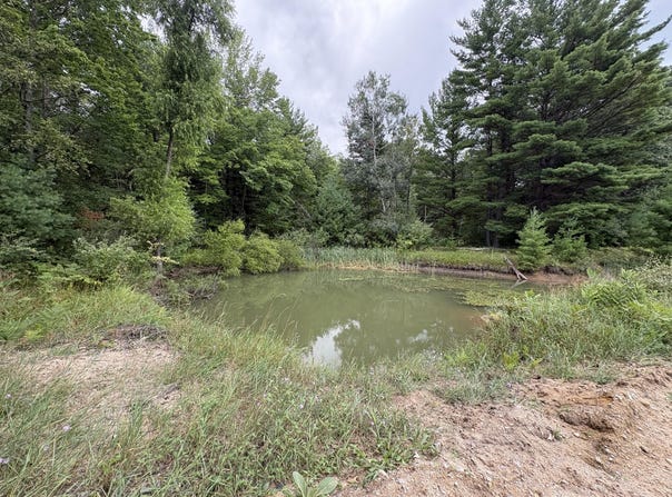 VL 5 Mile Road, Morley, MI 49336