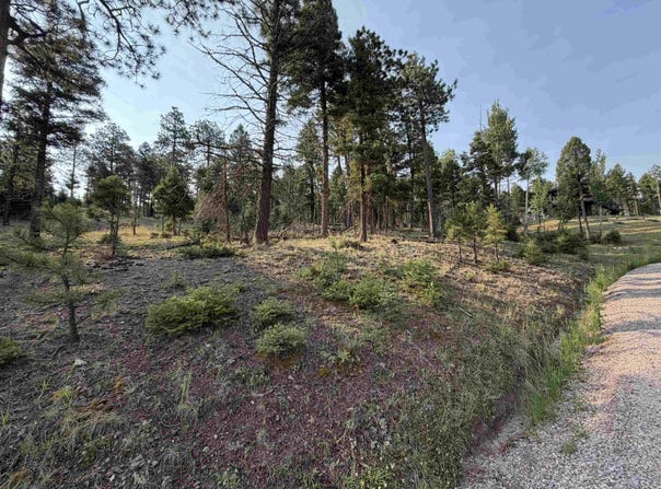Luna lot: 1581, Angel Fire, NM 87710