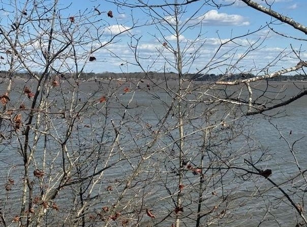 County Rd 531 lot: 5, Centre, AL 35960