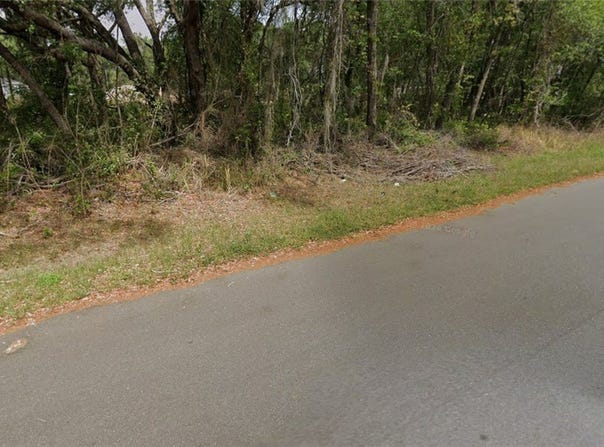 Spring Loop Drive, Ocala, FL 34472