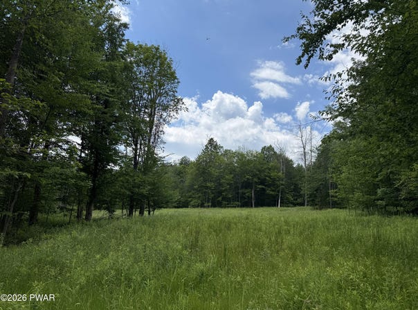 Bridle Way, Equinunk, PA 18417