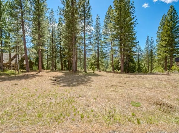 118 Saddle Ridge Road lot: 9, Clio, CA 96106