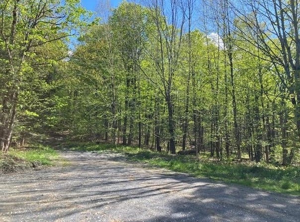 Bill T Drive, Readsboro, VT 05350