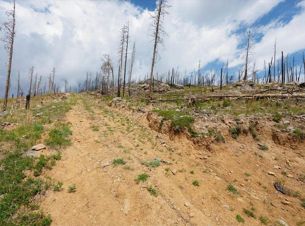 30 Sheep Horn Ct, Bellvue, CO 80512