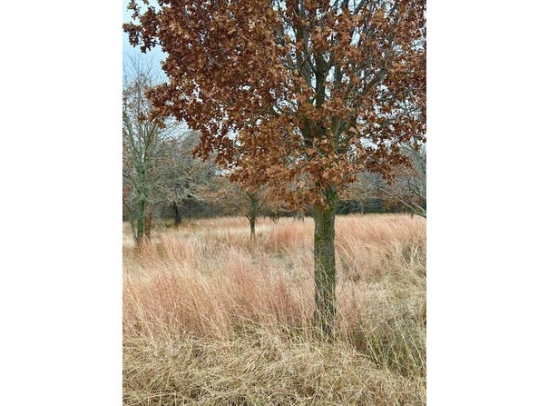 702 County Road 3597, Boyd, TX 76023