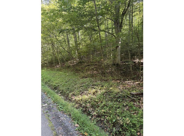 Thompson Road, Hillsboro, WV 24946