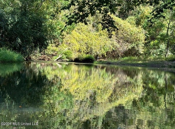 Hamp Lea, Magnolia, MS 39652