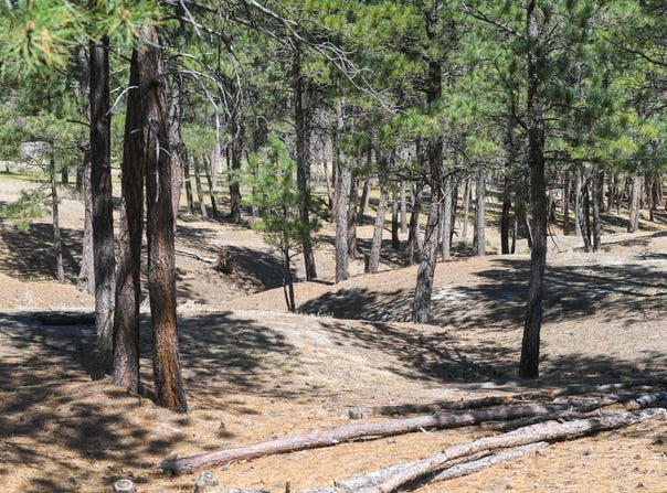 Lot S, Belle Fourche, SD 57717