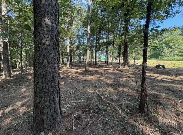 3715 Split Rail Way lot: 1123, Guild, TN 37340