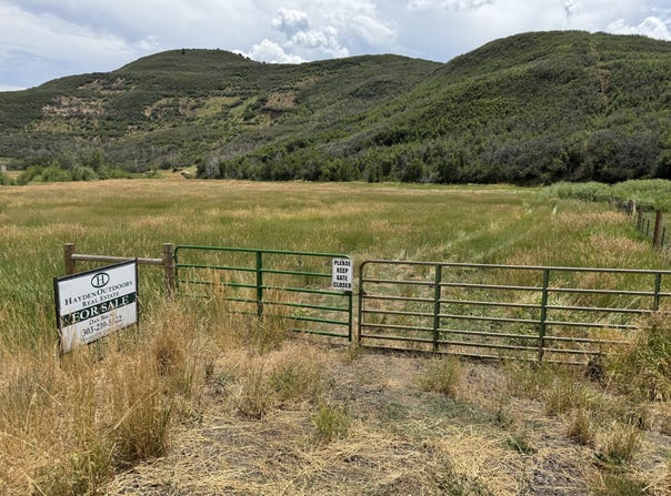 E TBD Highway, Collbran, CO 81624