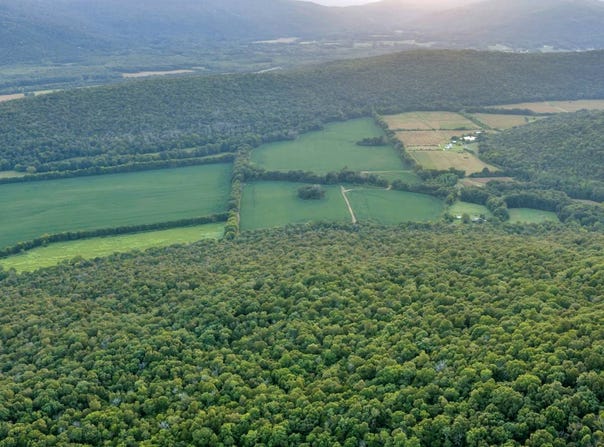 26 Acres Co Rd 170, Stevenson, AL 35772