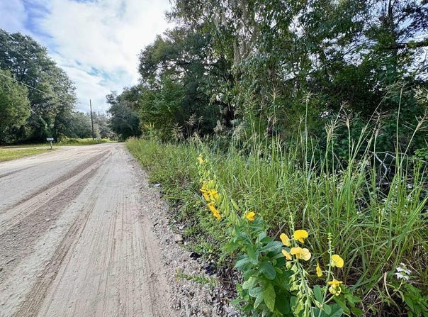SE 80th Ln, Trenton, FL 32693