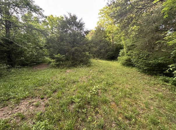 Carlos Road, Sneedville, TN 37869