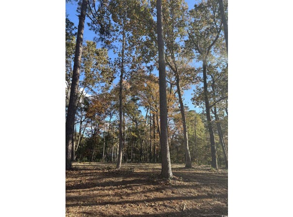 282 Pineneedle Circle, Johnsonville, SC 29555