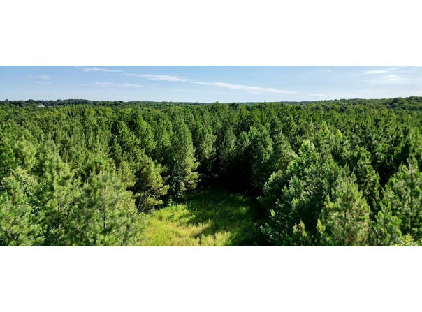 Piney Green Road, Blackstone, VA 23930