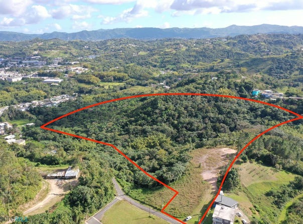 Ceiba, Cidra, PR 00739