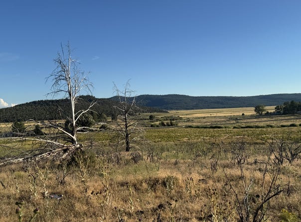 Curry Street, Sprague River, OR 97639