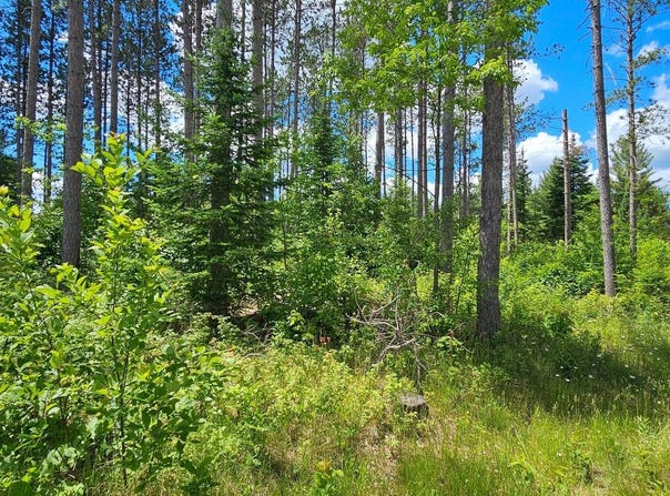 BAADE RD lot: 3, Monico, WI 54501