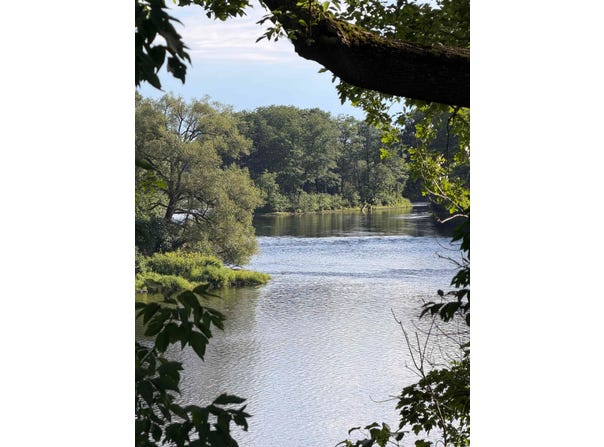 Cook Road, Norfolk, NY 13667