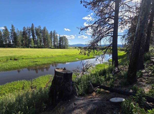 123 Cusick Meadows Rd, Cusick, WA 99119