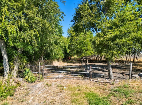 Fm 3427, Wolfe City, TX 75496