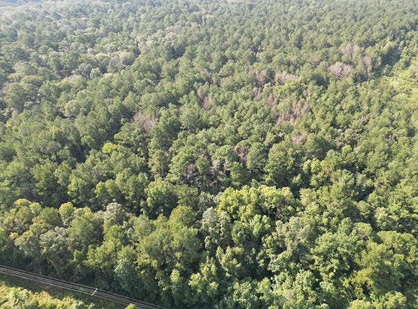 Tbd Battle Rd, Ethel, LA 70730