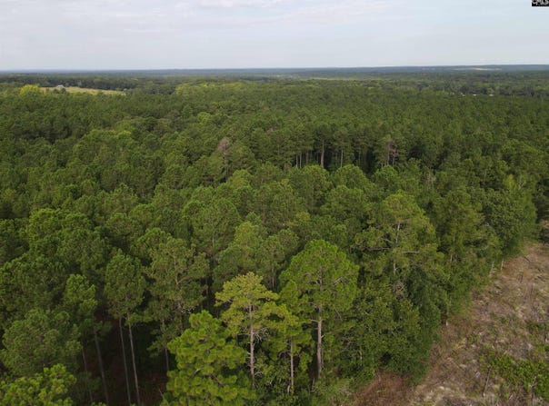 Tract 2 Bridle Path Road, Camden, SC 29020