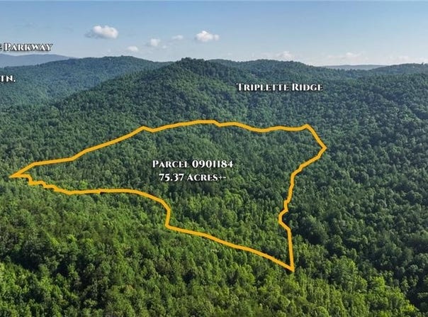 Boone Trail, Purlear, NC 28665