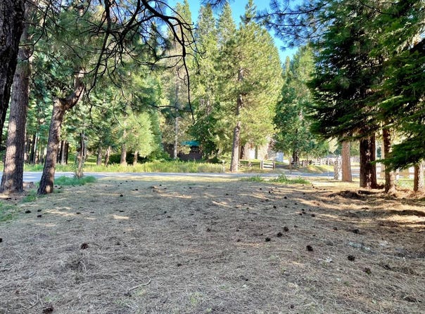 8 Hwy 41, Fish Camp, CA 93623