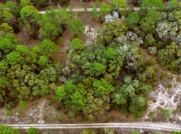 SW 152 Terrace, Ocala, FL 34481