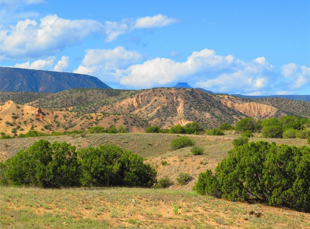 County Rd 142 lot: 34, Medanales, NM 87548