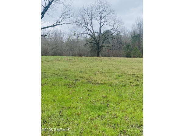 408 North Street, Union, MS 39365