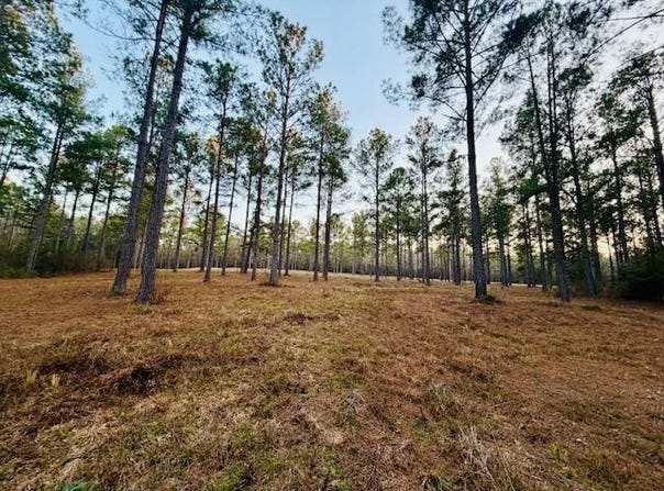 750 Shadow Creek Drive, Camden, AL 36726