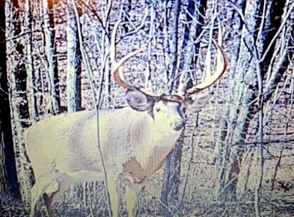 11834 St. Rt. 327, Wellston, OH 45692