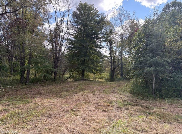 Scribner Road, Pierpont, OH 44082