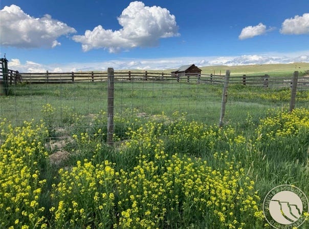 Molt-Rapelje Road, Rapelje, MT 59057