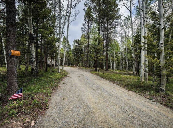 513 Crest Drive, Cimarron, CO 81220