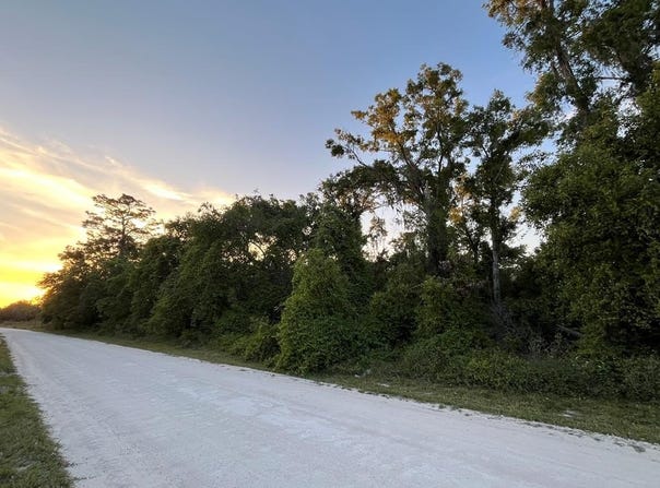 NE 481st Ave, Old Town, FL 32680