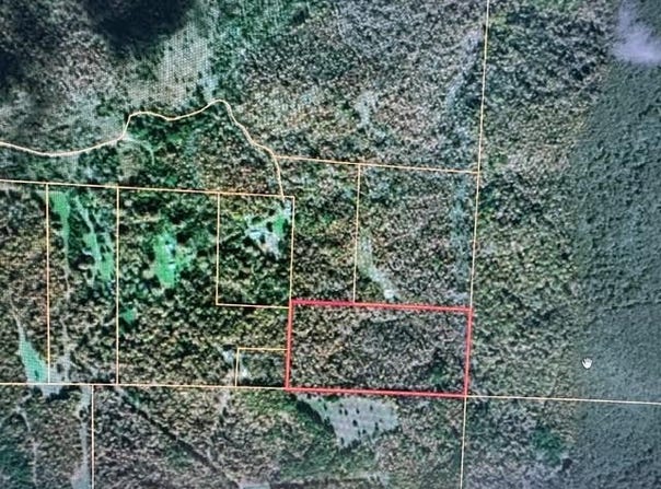 County Road 434, Birch Tree, MO 65438