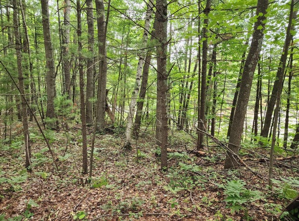 4450 HARMONY HILL LN, Rhinelander, WI 54501