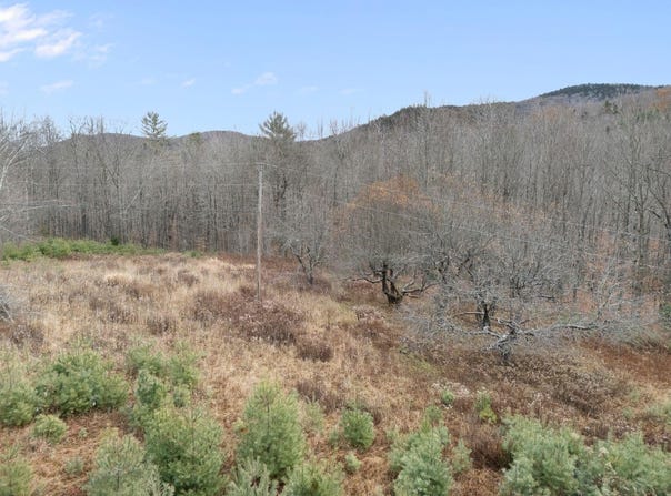 Contro Road, Chester, VT 05143