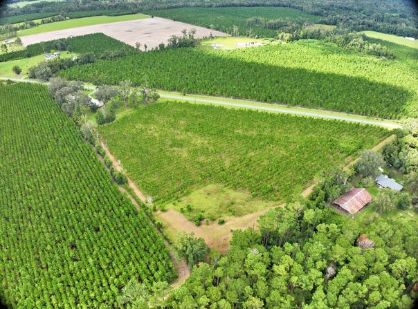 NE Not Named, Wellborn, FL 32060