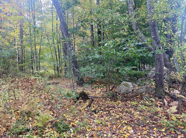 Bugbee Road, Springfield, VT 05156