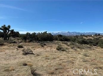 Atsina, Phelan, CA 92371